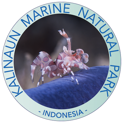 Kalinaun Marine Natural Park - Sulawesi - Indonesia
